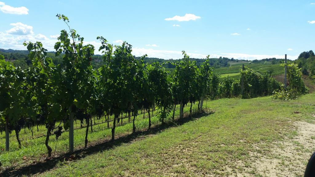 Вилла Cascina Rollone Rocchetta Tanaro Экстерьер фото