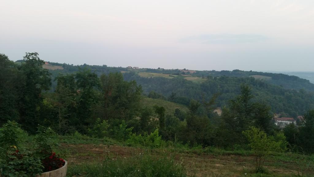 Вилла Cascina Rollone Rocchetta Tanaro Экстерьер фото